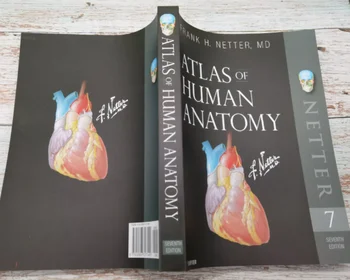 Атлас по анатомия на човека (Netter Basic Science) 7-та
