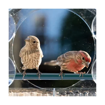 Прозорците на хранилки за птици с трайни нещастници, прозрачна ясла за птички отвън, птичи къща с подвижна чекмедже 2 отделения