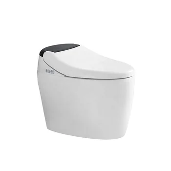 Електронен тоалетната чиния, автоматично умен тоалетна, модерни водопроводни изделия, едно парче умен тоалетна чиния със седалка, с топло покритие