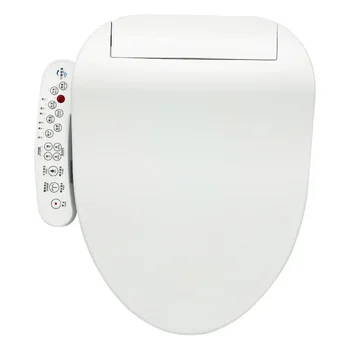 Напълно автоматична интелектуална капак на тоалетната чиния, универсална 110, Отопление по американския стандарт 220 В